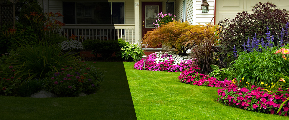 Chuckey Landscapers