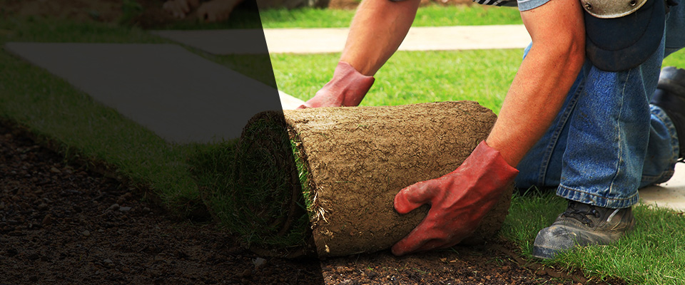Chuckey Landscapers
